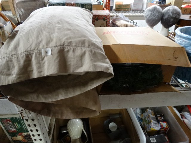 DSC05134