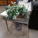 DSC04677