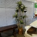 DSC04698