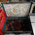 DSC05266